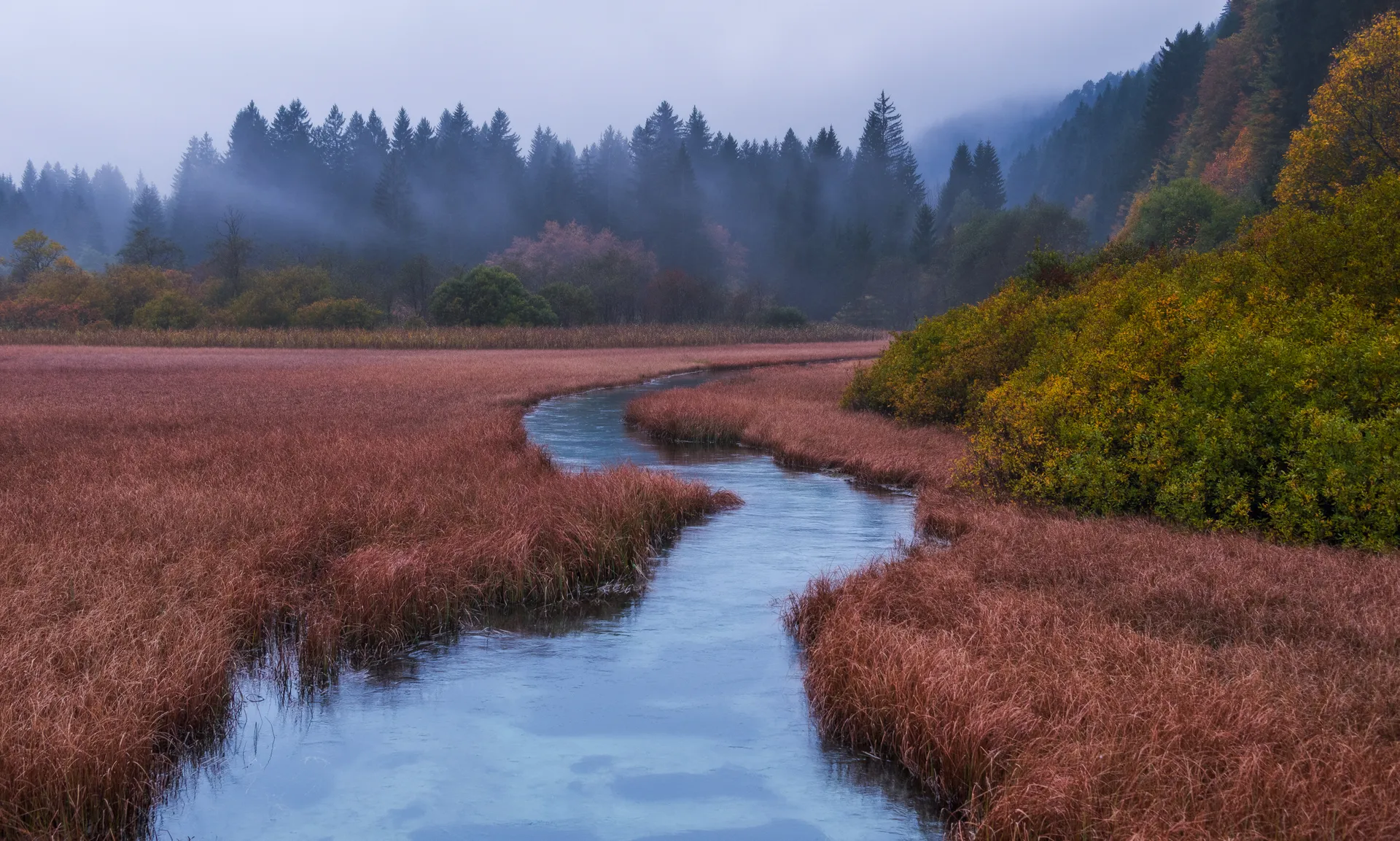 Craniosacral Therapy